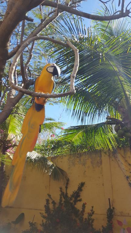 Pousada Agua Marinha Canoa Quebrada Bagian luar foto