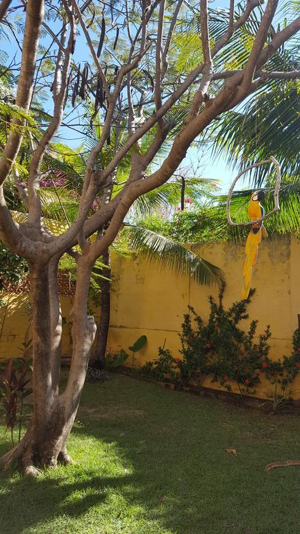 Pousada Agua Marinha Canoa Quebrada Bagian luar foto